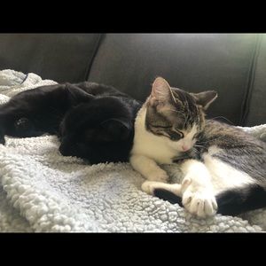 Meet your Posher, Mathieu